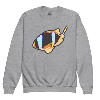 Basic Sweatshirt (Kids) - Nemo